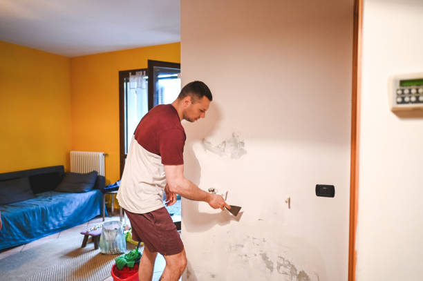Best Basement Mold Remediation in Derwood, MD